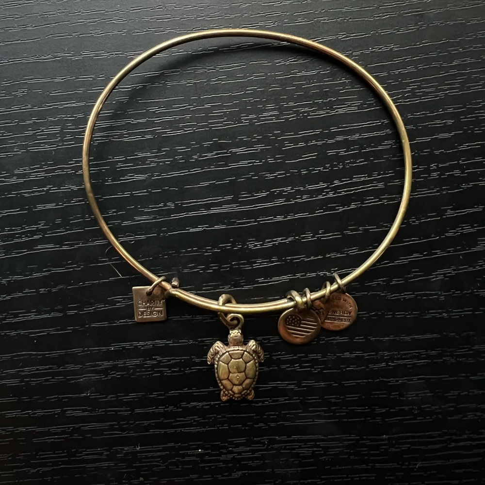 Alex and Ani turtle bracelet